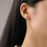 925 Silver Rainbow Zircon Pet Paw Earrings