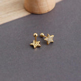 925 Silver Star Zircon Spiral Earrings for Women
