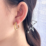 Delicate Zircon Pearl Double Layer Small Earrings