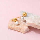 High End PVD No Fade Stainless Steel Earrings