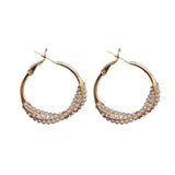 Light Temperament Pearl Zircon Earrings Female
