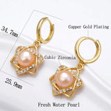 Freshwater Pearl Star Hoop Earrings Zircon Jewelry