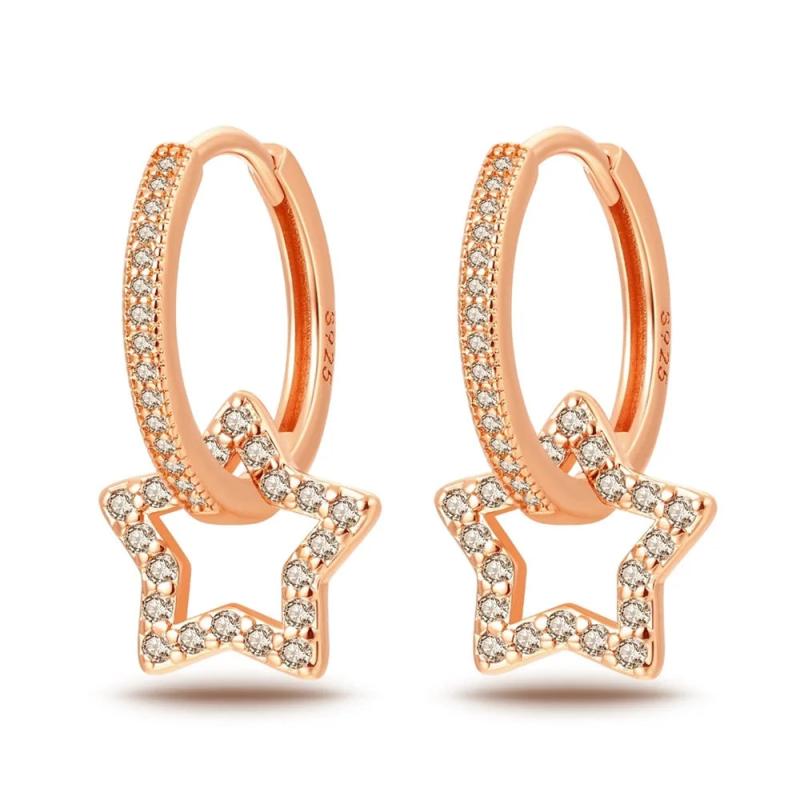 925 Silver Rose & Star Pendant Rose Earrings Star Watching