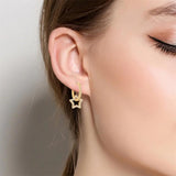 925 Silver Rose & Star Pendant Rose Earrings Star Watching