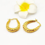 K-Pop Women Titanium Stainless Steel Geometric Oval Hoop Earring
