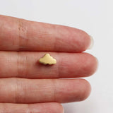 Jaymaxi Small Beads Cloud Charms Stainless Steel Charms for Jewelry Making