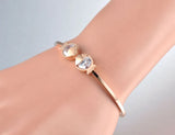 Double CZ Crystal Fish Stainless Steel Bangle for Women