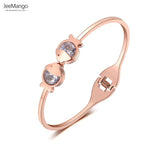 Double CZ Crystal Fish Stainless Steel Bangle for Women