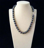 Rainbow South Sea Shell Pearl Necklace 18"