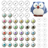 10PCS 8-30mm Human Eye Buttons Glass Round Pupil Cabochons K Base Toy Doll
