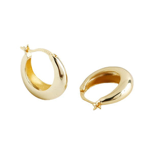 925 Sterling Silver Drop Shape Women's Earrings