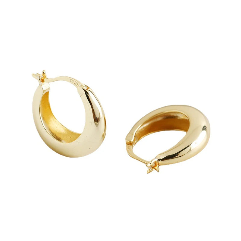 925 Sterling Silver Drop Shape Women's Earrings