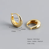 925 Sterling Silver Drop Shape Women's Earrings
