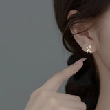 Vintage Star Zircon Stud Earrings 925 Silver