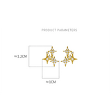 Vintage Star Zircon Stud Earrings 925 Silver