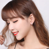 925 Silver Crystal Stud Earrings for Women