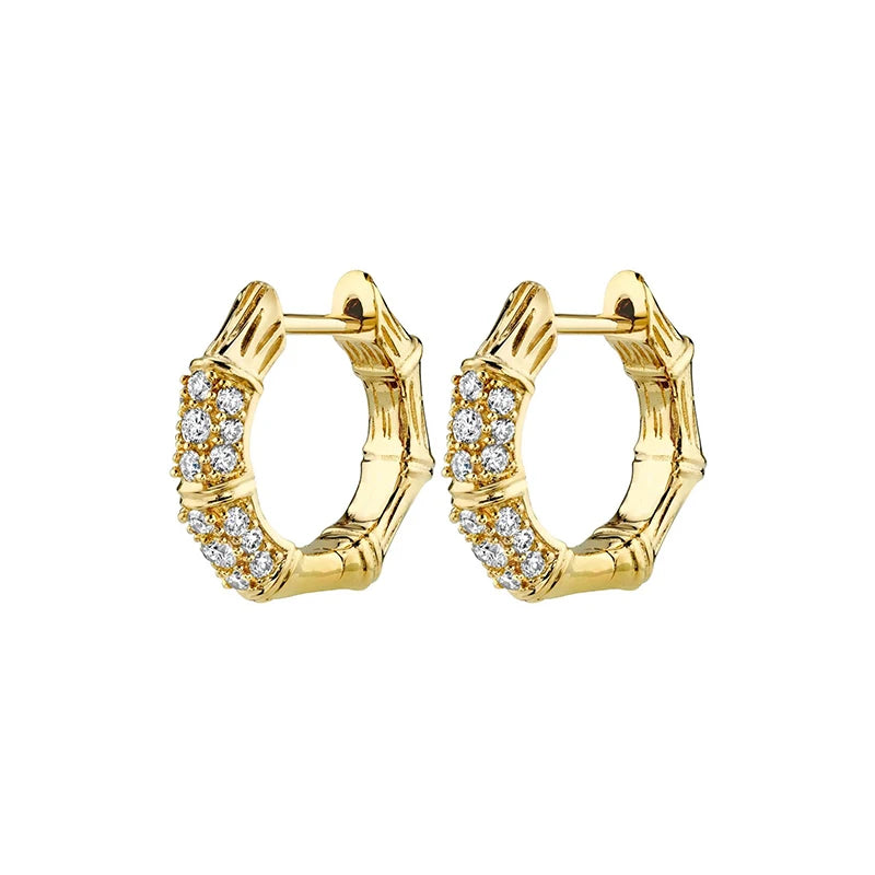 Silver Petite Bamboo Zircon Hoop Earrings For Women CZ Punk Rock