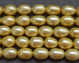 KKGEMS 1PC Golden Freshwater Pearl Beads 11x14mm