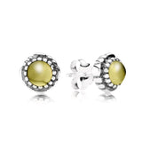 S925 Silver December Gemstone Stud Earrings, Classic Jewelry