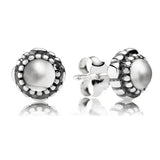 S925 Silver December Gemstone Stud Earrings Women's Jewelry