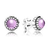 S925 Silver December Gemstone Stud Earrings Women's Jewelry