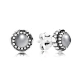 S925 Silver December Gemstone Stud Earrings Women's Jewelry