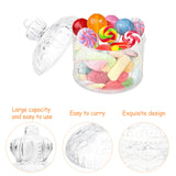 Glass Jewelry Box Display Case Earring Storage Container