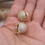 Korea Jewelry 14K Plating Zircon Earrings Women's Daily Accessories