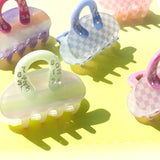 Acetic Acid Mini Bag Hair Claws for Women