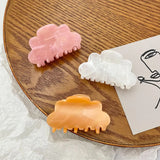 Medium Cloud Marbling Hair Clip Claw For Temperament Girl