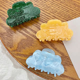 Medium Cloud Marbling Hair Clip Claw For Temperament Girl