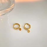 925 Silver Zircon Disc Earrings for Women
