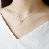 925 Silver Hollow Out Heart Zircon Pendant Necklace