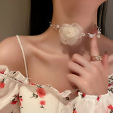 img_9781020