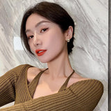 Leopard Inlaid Zircon Earrings for Women's Prom Party