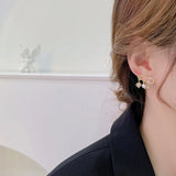 Copper Zircon Pin & Star Pearl Earrings