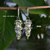 Crystal Tassel Earrings Long Jewelry for Women