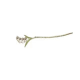 Wave Tulip Lily Orchid Hairpin Women's Flower Hairpin Retro Accessories