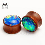 Kubooz Colorful Wood Gem Ear Piercing Gauges Body Jewelry Ears Tunnel and Plugs