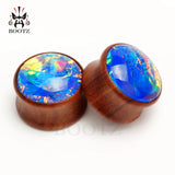 Kubooz Colorful Wood Gem Ear Piercing Gauges Body Jewelry Ears Tunnel and Plugs