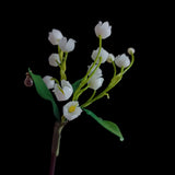 Resin Lily Of The Valley Hair Sticks Wedding Headpieces