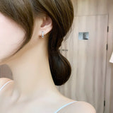 925 Silver Zircon Inlaid Circle Hoop Earrings for Women