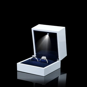 LED Piano Paint Jewelry Display Storage Case Gift Box