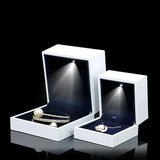 LED Piano Paint Jewelry Display Storage Case Gift Box