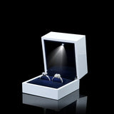 LED Piano Paint Jewelry Display Storage Case Gift Box