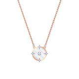 LR Silver Rose Generous Floating Disc Diamond Necklace