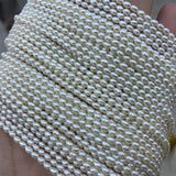 3MM Rice Shape Freshwater Pearl Beads for Jewelry Making