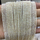 3MM Rice Shape Freshwater Pearl Beads for Jewelry Making