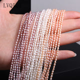 Freshwater Pearl Beaded Rice Shape Punch Beads for Jewelry Making