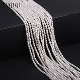 Freshwater Pearl Beaded Rice Shape Punch Beads for Jewelry Making